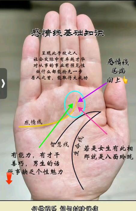 风水先生解读掌中情缘：感情线的分叉密码