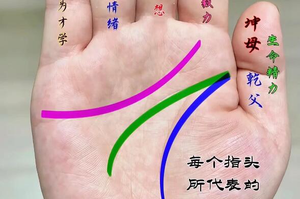 风水大师分享财运亨通的手相特征