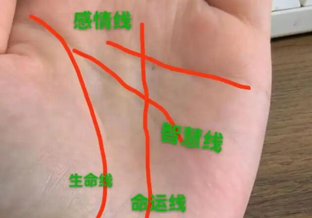 风水大师分享手相解读