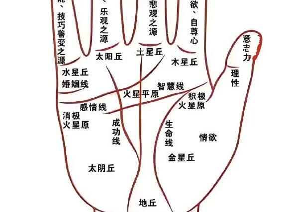 永康风水师教你怎么看掌纹图解